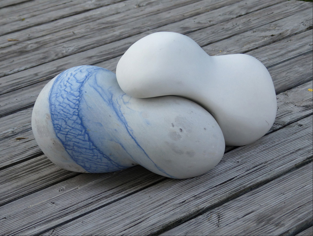 Nieren aus der Serie Organe