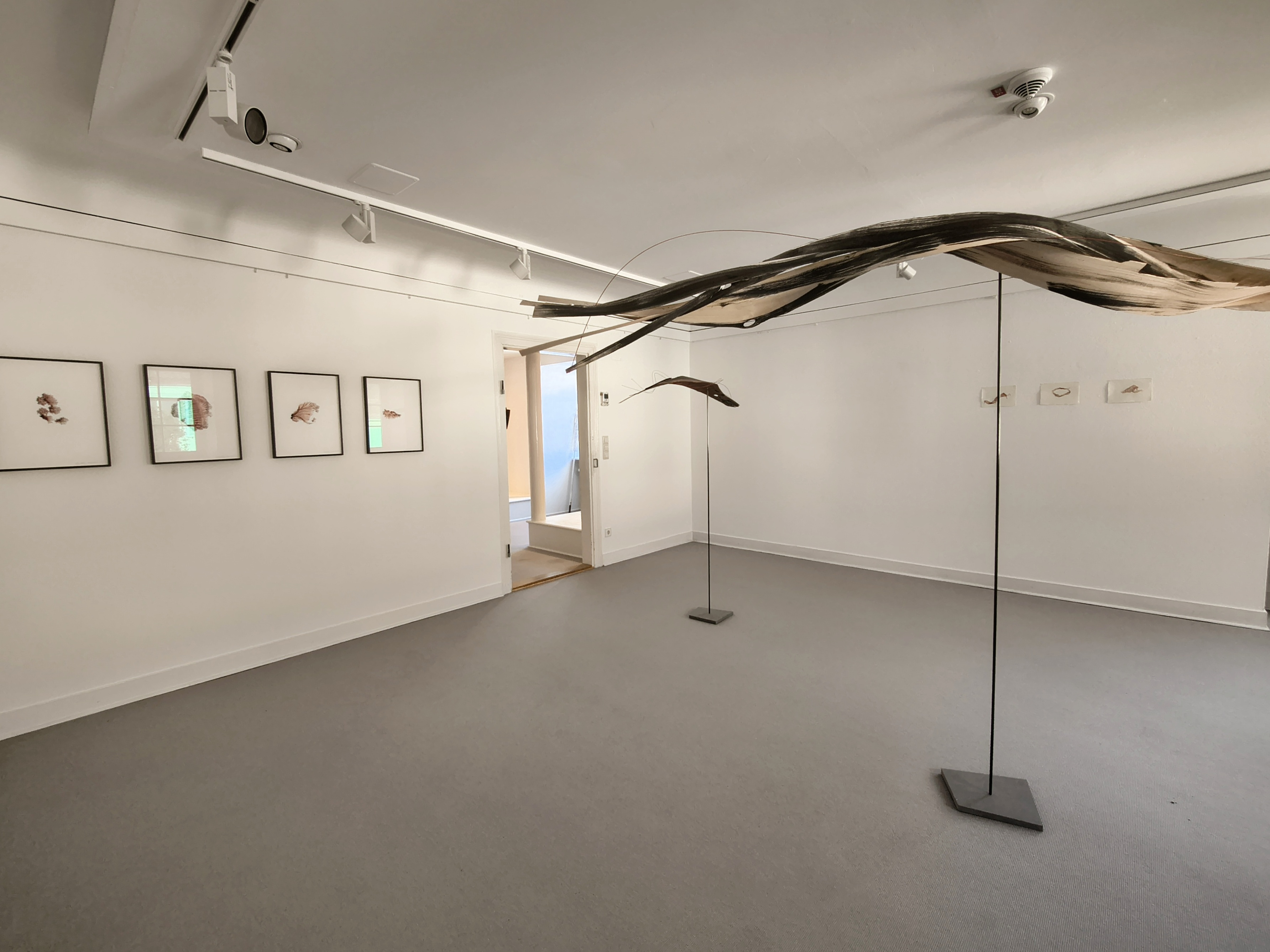Strain Series von Traci Kelly im Dialog mit 'Balancen' von Martin Schwer
